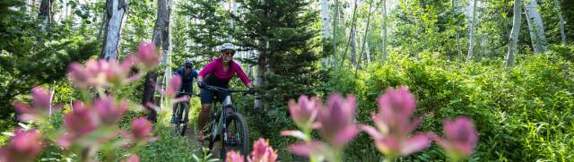 Couple mountain biking on trail with flowers in the foreground.