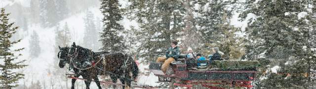 Family in a horse drawn sleigh on a snowy afternoon