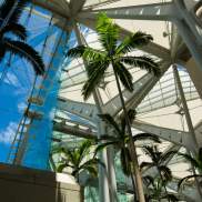 HCC Architecture - Lobby Ceiling