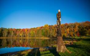 Fall Foliage at Hillside Park