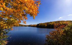 Lackawanna State Park Fall Foliage Hiller 614 LCVB