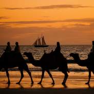 Camels silhouetted by the sunset on Cable Beach, Broome.