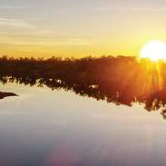 Fitzroy River near Fitzroy Crossing - TWA