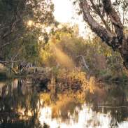 Violet Valley Campground
