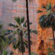 Inspiration Outdoors