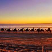 Outback Horizons Luxury Tours