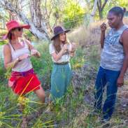 Violet Valley Campground