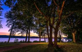 view of the water through trees