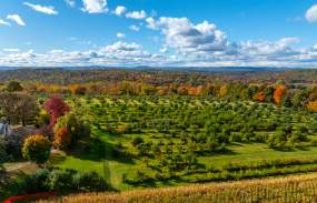 An overhead view of the vivid red and orange autumn trees at Wilkens Farm