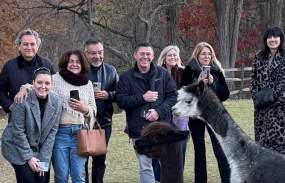 A group of people meet the alpacas at Faraway Farms.