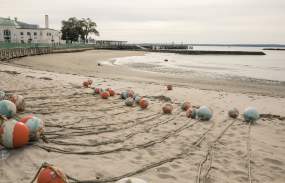 A quiet Playland Beach is shown with the lines for swimming lanes laid out on the sand.