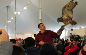 A presenter holds a bird and shows the gathered crowd.