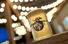 A glass of Hardscrabble Cider is shown with a string of white lights in the background.