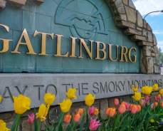 Spring Guide to Gatlinburg