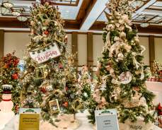 Gatlinburg's Festival of Trees