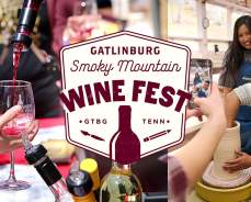 Gatlinburg Smoky Mountain Wine Fest