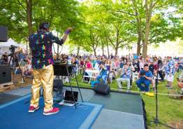 Ann Arbor Summer Festival