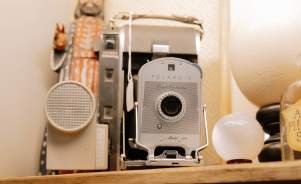 Vintage camera in the roseberry on route 66