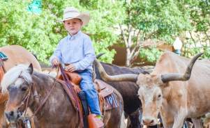 Coors Cowboy Club Photo Contest 2016 Open Range Winning Photo