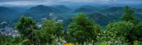 Smokies in Spring