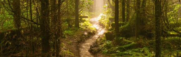 Sunrise on the Appalachian Trail