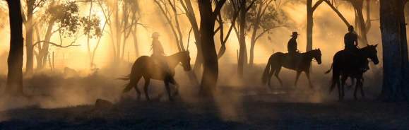 Horseback Riding in the Shadows