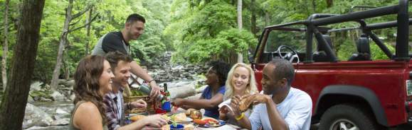 Picnic with friends Chimneys