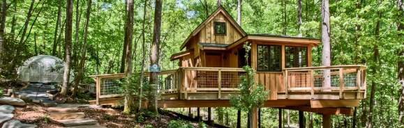 Treehouse Grove