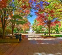 11 Vibrant Locations to View Fall Foliage in Greater Lafayette