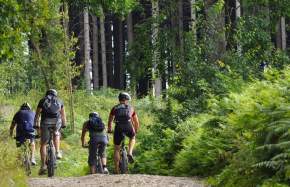 Hike, Bike, and Brews