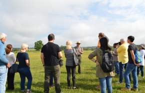 Group Activities During COVID