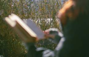 Unplug & Recharge: A Nature-First Electronic Detox in Prince William, Virginia