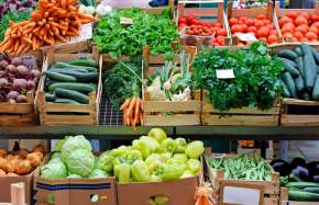 Fresh Finds Are Coming to Gainesville: A New Farmers Market Opens This May