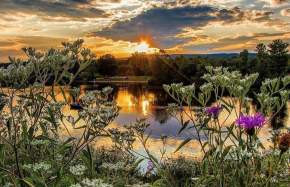 Off the Beaten Path in Prince William, VA