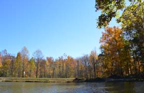 Locust Shade Park