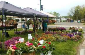 Town of Haymarket Farmers Market