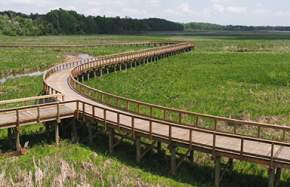 Neabsco Creek Boardwalk