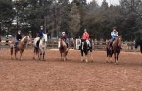 Silver Eagle Stable