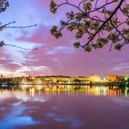 Washington DC landscape