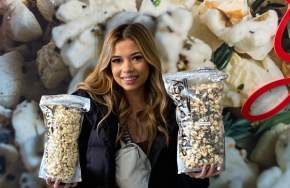 Unique Snacks, Drinks, & Treats at the Gilroy Premium Outlets