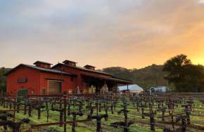 Martin Ranch Winery
