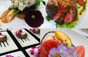 A Taste of Spring: A Wine Pairing Experience