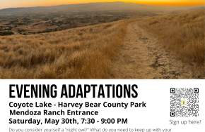 Evening Adaptations-Evening Hike