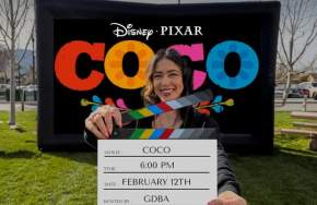 Movie Nights in the Park