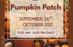 LJB Farms Pumpkin Patch