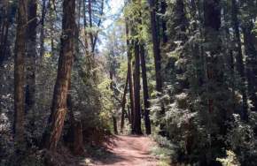 Morning Nature Stroll for South County Seniors
