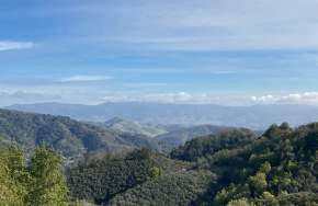 Mt Madonna County Park