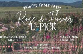 Rose & Flower U-Pick at Painted Table Farm