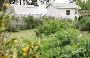 Walk the Farm at The Nest Box