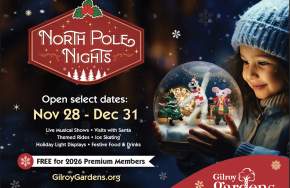 North Pole Nights